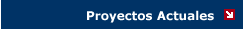 Proyectos Actuales